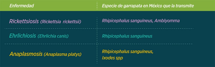 enfermedad graphic